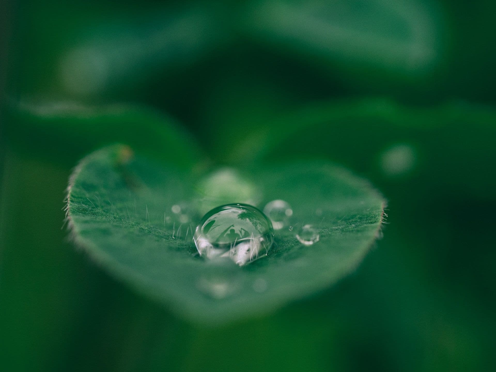 Sustainability Initiatives
